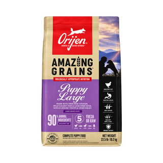 Orijen Amazing Grains High-Protein Large Puppy Breed Dry Dog Food