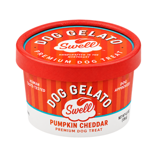 Swell Gelato Pumpkin Cheddar Frozen Dog Treat