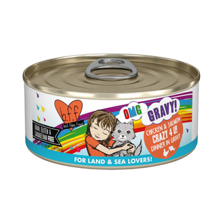 BFF Weruva Crazy 4 U Chicken & Salmon Wet Cat Food