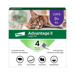 Advantage II Flea Treatment For Cats
