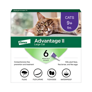 Advantage II Flea Treatment For Cats