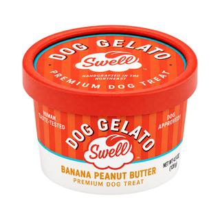 Swell Gelato Banana Peanut Butter Frozen Dog Treat