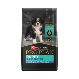 Pro Plan Lamb & Rice Under One Year Puppy Dry Dog Food