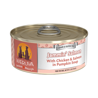 Weruva Jammin' Salmon Chicken & Salmon In Pumpkin Soup Dog Canned