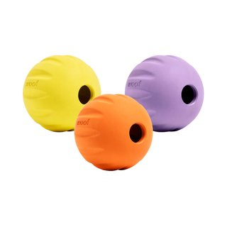 Woof Dog Forager Flyball