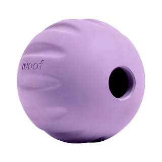 Woof Dog Forager Flyball