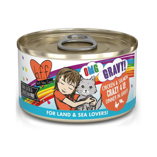 BFF Weruva Crazy 4 U Chicken & Salmon Cat Canned