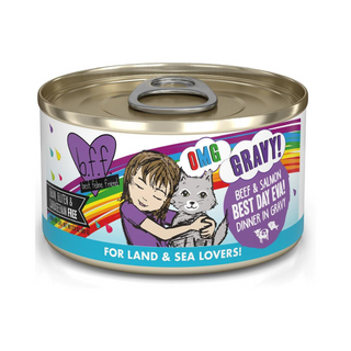 BFF Weruva OMG Best Day Eva Beef & Salmon Cat Canned