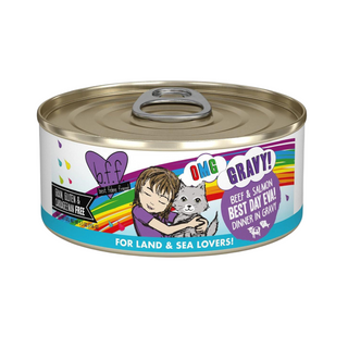 BFF Weruva OMG Best Day Eva Beef & Salmon Cat Canned
