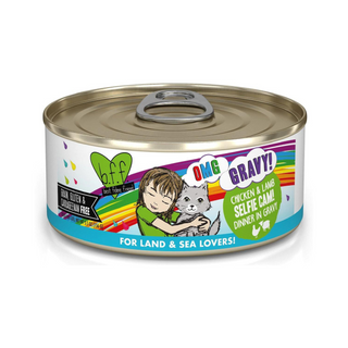 BFF Weruva Selfie Cam Chicken & Lamb Cat Canned