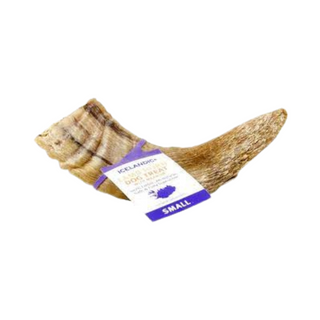 Icelandic Lamb Horn