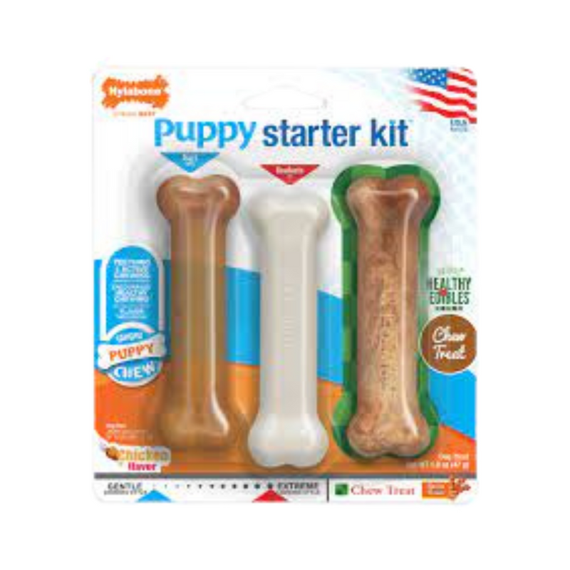 Puppy Nylabone Starter Kit